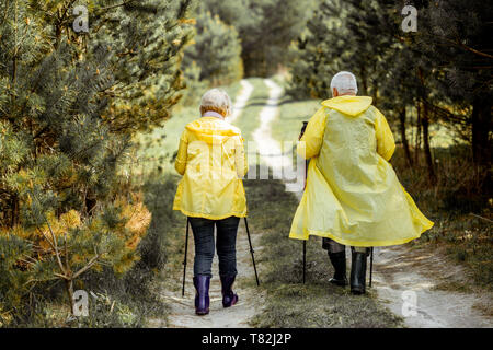 Senior Paar in gelben Regenjacken gehen in die junge Kiefernwald, Rückansicht Stockfoto