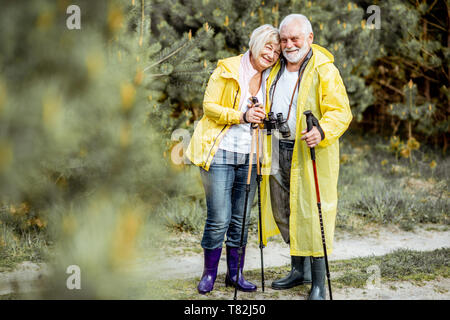 Portrait Of Happy senior Paar in gelbe Regenmäntel wandern mit Trekking Stöcke in die junge kiefernwald. Konzept eines aktiven Lebensstils auf Ruhestand Stockfoto