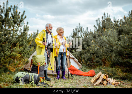 Senior Paar in gelben Regenjacken auf dem Campingplatz mit Zelt und Kamin in der junge kiefernwald Stockfoto