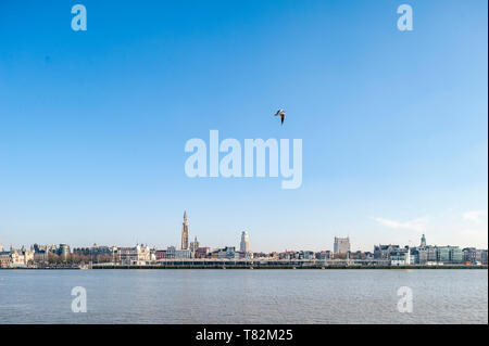 Belgien, Antwerpen - 15 Februar 2015: Stadtbild von Antwerpen ab Linkeroever gesehen Stockfoto