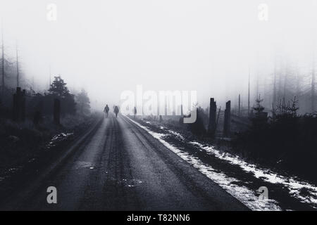 Brocken Straße in Eis, Schnee und Nebel Stockfoto