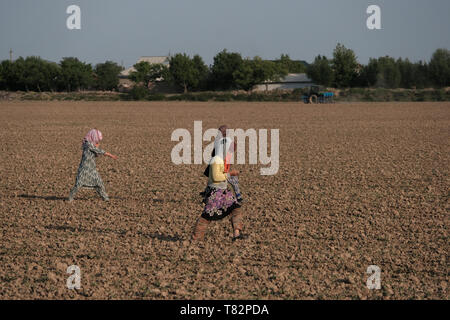 Usbekische Frauen laufen auf einem bepflügten Ackerfeld in den Randbezirken des heutigen Termez, Surkhandarya oder Surxondaryo in Usbekistan Stockfoto