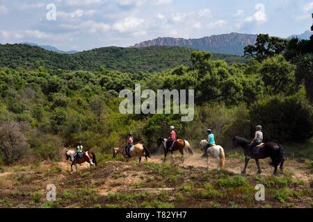 Frankreich, Var, Roquebrune-sur-Bereich neben Saint Raphael, Reiter Trekking im Massif de l'Esterel (Esterel Massif) und der rastel von Agay im Hintergrund Stockfoto