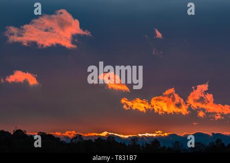 Dramatischer dark blue sky mit rosa, orange, rot und golden Wolken bei bunten Frühling Sonnenuntergang. Silhouetten der Bäume am Horizont. Dämmerung in der Landschaft Stockfoto