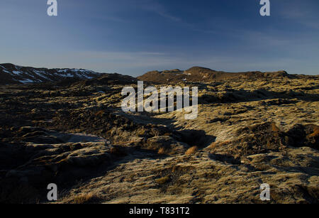 Riesige alte Lavafelder mit Isländisch Moos in einer offenen bewachsen - Luft Smaragd Farbe. Island, Moos und Moschus Landschaft in einem typischen Bewölkter Tag Stockfoto