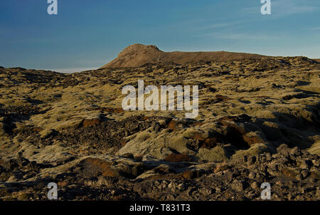 Riesige alte Lavafelder mit Isländisch Moos in einer offenen bewachsen - Luft Smaragd Farbe. Island, Moos und Moschus Landschaft in einem typischen Bewölkter Tag Stockfoto