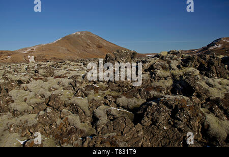 Riesige alte Lavafelder mit Isländisch Moos in einer offenen bewachsen - Luft Smaragd Farbe. Island, Moos und Moschus Landschaft in einem typischen Bewölkter Tag Stockfoto