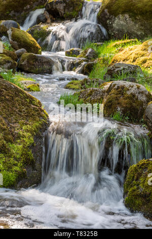 Kleiner Wasserfall im Sommer Park Stockfoto