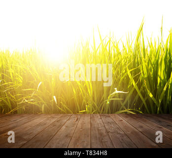 Holz Fußboden an Rohreis Feld in Sunrise. Stockfoto