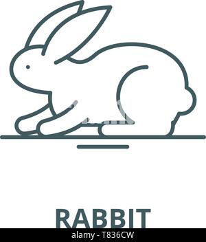 Kaninchen vektor Symbol Leitung, lineare Konzept erläutern, Zeichen, Symbol Stock Vektor