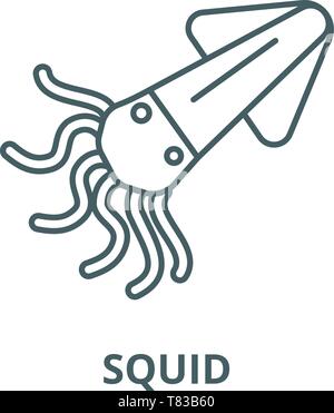 Squid, calamary Vektor Symbol Leitung, lineare Konzept erläutern, Zeichen, Symbol Stock Vektor