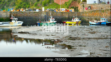 Boote und Schiffe im Hafen im Crail Hafen, Fife, Schottland bei Ebbe Stockfoto