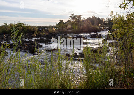 Okavango Fluss in der Popa Falls, Namibia Stockfoto