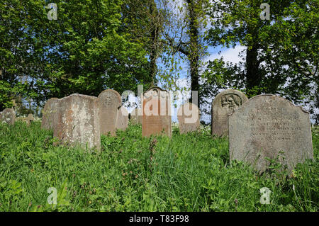 Grabsteine im überwucherten Kirchhof der All Saints' Church, Roos, East Yorkshire, England Stockfoto