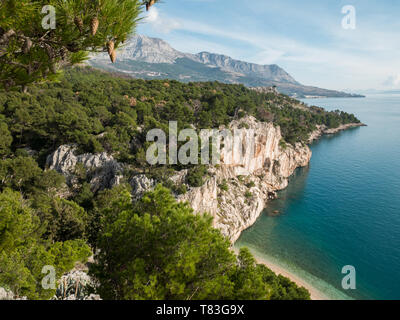 Pinienwald und Meer Landschaft an der Riviera von Makarska in Kroatien Stockfoto