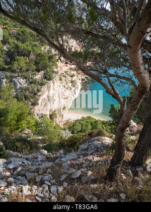 Pinien und felsigen Küste mit Blick auf den kleinen versteckten Strand an der Adriaküste in Kroatien Stockfoto