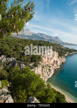 Pinien auf Felsen über Hidden Beach und ruhigen blauen Meer in Kroatien Stockfoto