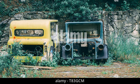 Verworfen, alte Autos seit Jahren von der Wand nach links. Autos nebeneinander im Gras bewachsen. Stockfoto