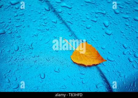 Herbst Klischee mit Kopie Raum, chemische gelb Birke Blatt und regen Wassertropfen auf Blau Metall oberfläche Stockfoto