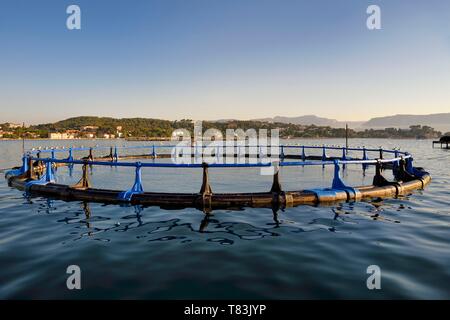 Frankreich, Var, La Seyne sur Mer, Fisch Zucht in der Bucht von Tamaris Stockfoto