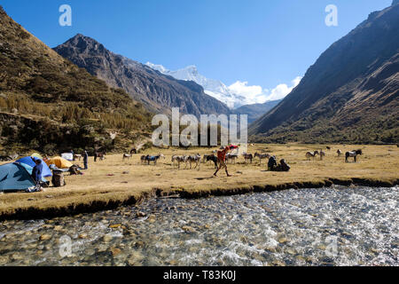 Pisco Base Camp neben klaren Gewässern Creek in Huascaran Nationalpark, Region Ancash, Peru Stockfoto