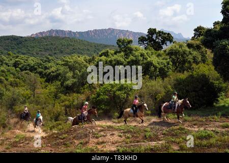 Frankreich, Var, Roquebrune-sur-Bereich neben Saint Raphael, Reiter Trekking im Massif de l'Esterel (Esterel Massif) und der rastel von Agay im Hintergrund Stockfoto