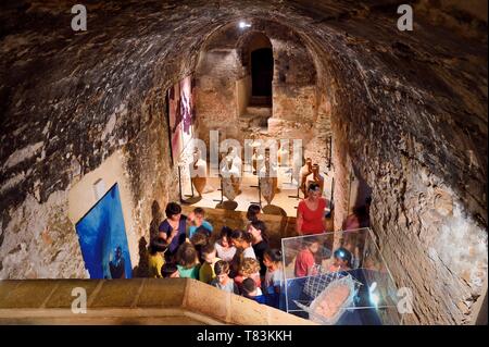Frankreich, Alpes Maritimes, Lerins Inseln, Insel Sainte Marguerite, das Fort Royal von Vauban befestigt, Ergebnisse der Ausgrabungen auf einer alten römischen Handelsschiff in einem ehemaligen Zisterne ausgesetzt Stockfoto