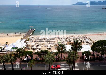 Frankreich, Alpes Maritimes, Cannes, die Carlton Palace Privatstrand an der Boulevard de la Croisette Stockfoto