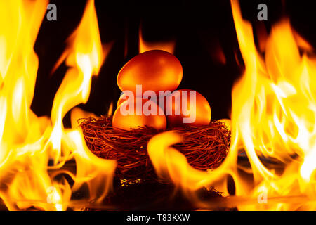 Gold Eier im Nest von Big fire Konzept des Anlagerisikos umgeben Stockfoto