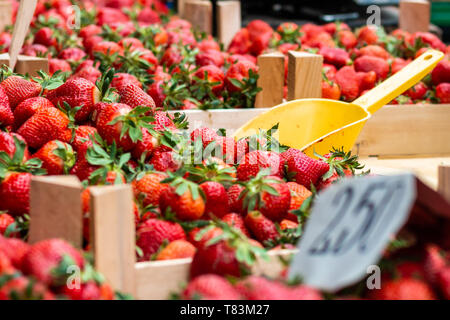 Frische reife Erdbeeren in Holz- korb bereit für den Verkauf auf dem Markt in Belgrad. Stockfoto