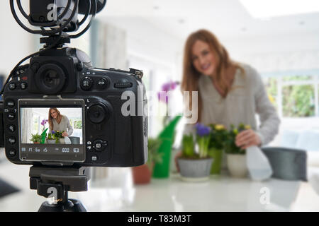Weibliche Vlogger, Social Media Video über Zimmerpflanze Pflege für das Internet Stockfoto