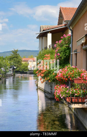 L'Isle sur la Sorgue und seinen Fluss, eine Gemeinde im Arrondissement Avignon im Département Vaucluse und der région Provence-Alpes Stockfoto