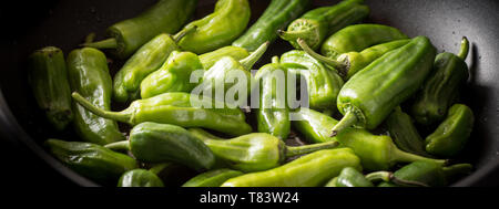 Grüne Padron Paprika in die Pfanne. Pimientos de Padron. Stockfoto