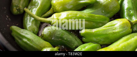 Grüne Padron Paprika in die Pfanne. Pimientos de Padron. Stockfoto