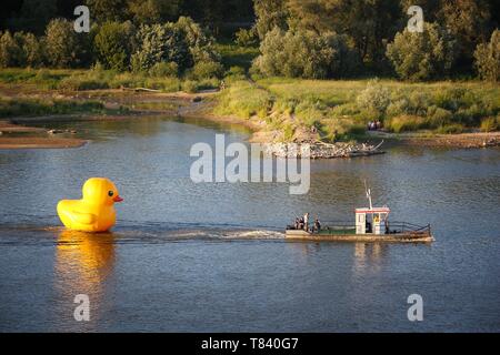 Warschau, Polen - 18. JUNI 2016: Gelb große aufblasbare Ente zog auf der Weichsel in Warschau. Es förderte eine lokale Firma Duckie Deck. Stockfoto