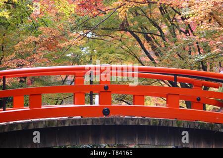 Herbst in Japan - bunte Blätter von Kitano Tenmangu Gärten in Kyoto. Stockfoto