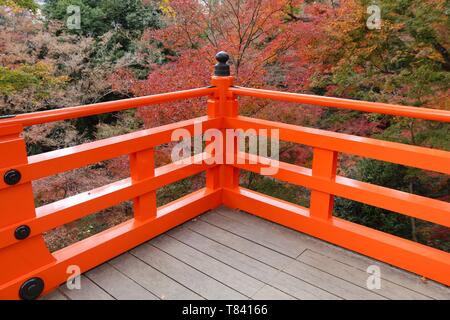 Herbst in Japan - bunte Blätter von Kitano Tenmangu Gärten in Kyoto. Stockfoto