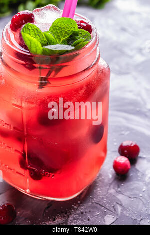 Iced hausgemachte Limonade mit Preiselbeeren, Zitrusfrüchte und frischer Minze Blatt in einem Cocktail Glas mit Strohhalm Stockfoto