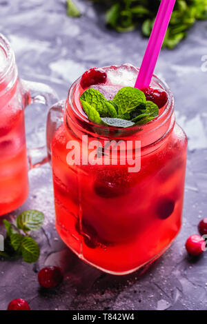 Iced hausgemachte Limonade mit Preiselbeeren, Zitrusfrüchte und frischer Minze Blatt in einem Cocktail Glas mit Strohhalm Stockfoto