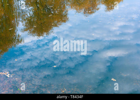 Herbst weiden, Himmel und Wolken im Wasser wider. Soft Focus Stockfoto