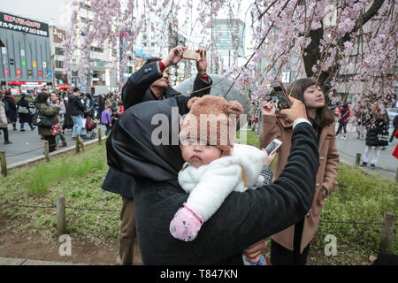 CHERRY BLOSSOM, Tokio Stockfoto