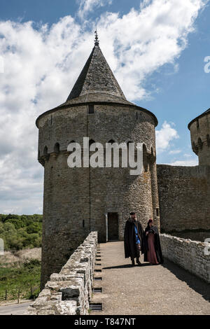 Château de Suscinio, Sarzeau, Moyen Âge, Morbihan, Bretagne, Golfe du Morbihan, Stockfoto