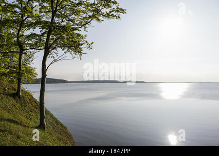 Großer Jasmunder Bodden Küste, Bergen, Rügen, Mecklenburg-Vorpommern, Deutschland Stockfoto