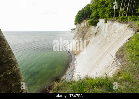 Landschaft mit Bäumen am Rand der Küste Kreidefelsen, Nationalpark Jasmund, Sassnitz, Rügen, Mecklenburg-Vorpommern, Deutschland Stockfoto