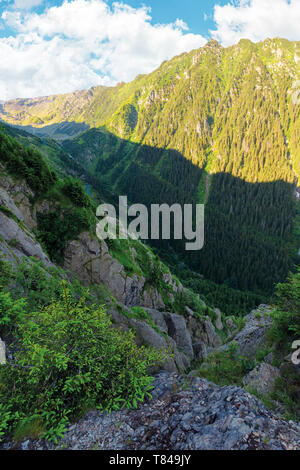 Tal der balea Stream in Fagaras Berge. Blick von den felsigen Klippen an einem steilen Hang. bewaldeten Hügel in der Ferne. Beliebte Reise destina Stockfoto