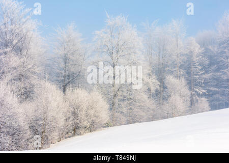 Winter Landschaft mit Bäumen im Raureif auf Hang. Wetter auf einem hellen, sonnigen Morgen mit klaren blauen Himmel Stockfoto