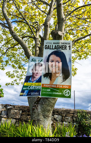 Burtonport, County Donegal, Irland. 10. Mai 2019. Wahlplakate für Sinn Fein auf einem Baum in einem Bereich traditionell stark für die Partei. Die EU-Wahl findet am Freitag, den 24. Mai 2019 in Irland. Kommunalwahlen werden am gleichen Tag stattfinden, so wird die Volksabstimmung über die Scheidung Gesetze. Credit: Richard Wayman/Alamy leben Nachrichten Stockfoto