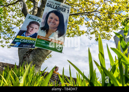 Burtonport, County Donegal, Irland. 10. Mai 2019. Wahlplakate für Sinn Fein auf einem Baum in einem Bereich traditionell stark für die Partei. Die EU-Wahl findet am Freitag, den 24. Mai 2019 in Irland. Kommunalwahlen werden am gleichen Tag stattfinden, so wird die Volksabstimmung über die Scheidung Gesetze. Credit: Richard Wayman/Alamy leben Nachrichten Stockfoto