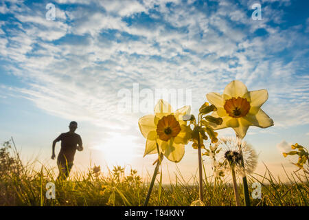 Billingham, Stockton on Tees, Großbritannien. 11. Mai 2019. Wetter: ein Trail Runner bilden die die meisten von einem herrlichen Sonnenaufgang in Billingham, North East England, in einer ruhigen und sonnigen Samstag so hoch baut sich Druck in ganz Großbritannien. Credit: Alan Dawson/Alamy leben Nachrichten Stockfoto