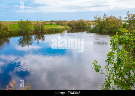 Aiguamolls de l'Empordà Naturpark Stockfoto